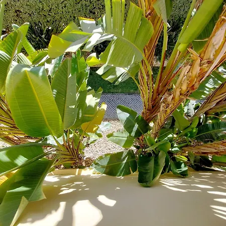 Vilapeti By Sapvillas