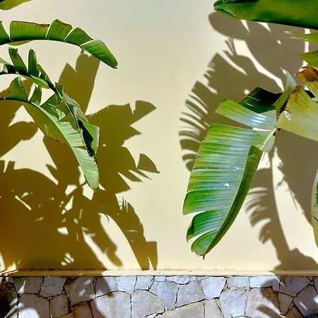 Vilapeti By Sapvillas Casa vacanze *